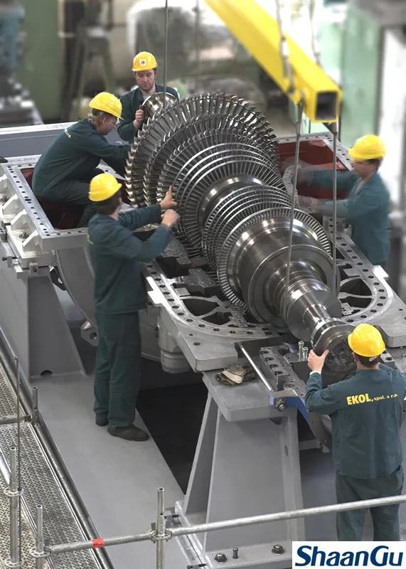 王慧：坚守在捷克的尊龙凯时“花木兰”